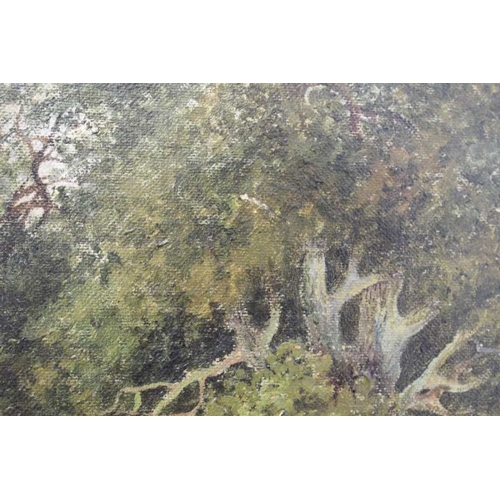 110 - Charles Williams, Woodland path, oil painting on canvas, 50cm x 69cm