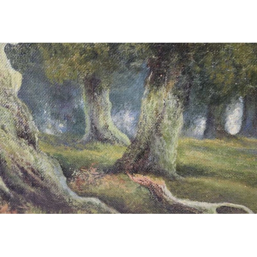 110 - Charles Williams, Woodland path, oil painting on canvas, 50cm x 69cm