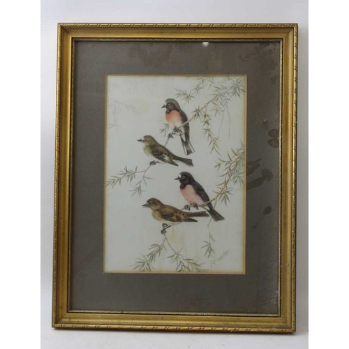 114 - Neville William Cayley (Australian 1886-1950) three framed watercolour paintings of birds, 35cm x 25... 