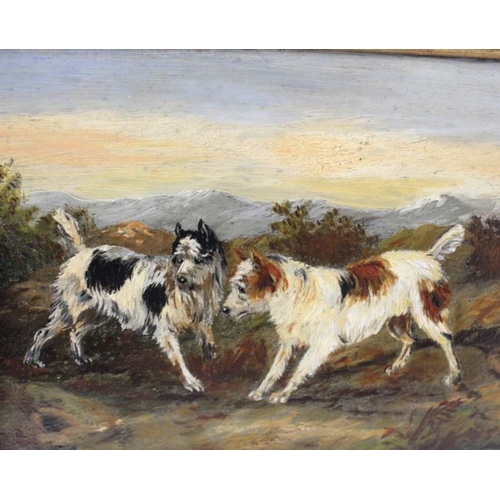 122 - In the manner of George Armfield, a pair of small oil paintings, sporting dogs in the field,  11cm x... 