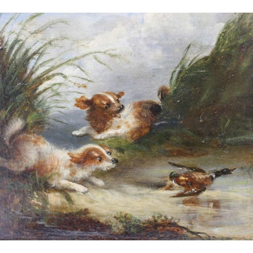 122 - In the manner of George Armfield, a pair of small oil paintings, sporting dogs in the field,  11cm x... 