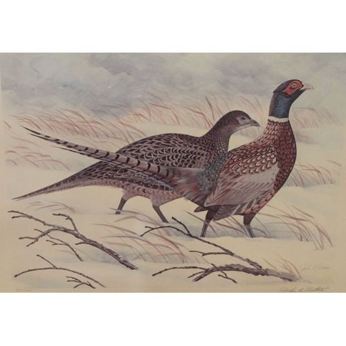 256 - A gilt framed print of pheasants plus another landscape picture.