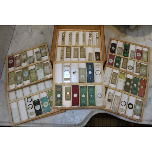 261 - A large selection of 19th and early 20th century prepared microscope slides