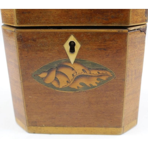 86 - A George lll mahogany single tea caddy, inlaid shell pattera, rectagular canted form 11.5 cm high