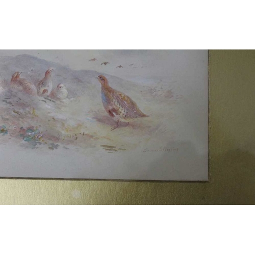 275 - James Stinton, a watercolour of Grouse on Moorland, signed bottom right, in gilt glazed frame, 12.5c... 