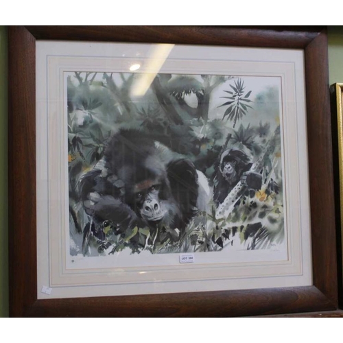 290 - Wolfgang Weber 'Mountain Gorillas' a signed limited edition print 48 x 58cm. No. 35/650, certificate... 