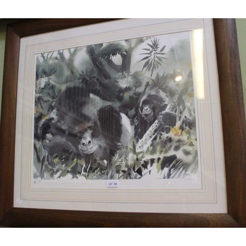 290 - Wolfgang Weber 'Mountain Gorillas' a signed limited edition print 48 x 58cm. No. 35/650, certificate... 