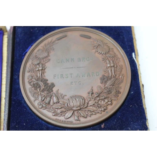 61 - A Sydney International Exhibition bronze medal, 1879, created by Wyon of London, to the reverse engr... 