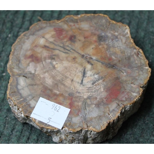 207 - A petrified wood small bowl, 10cm in diameter