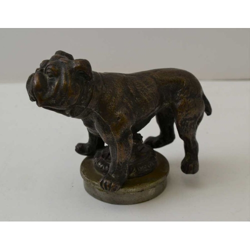 149 - An early to mid 20th century cast metal bulldog car radiator cap mascot, 8cm