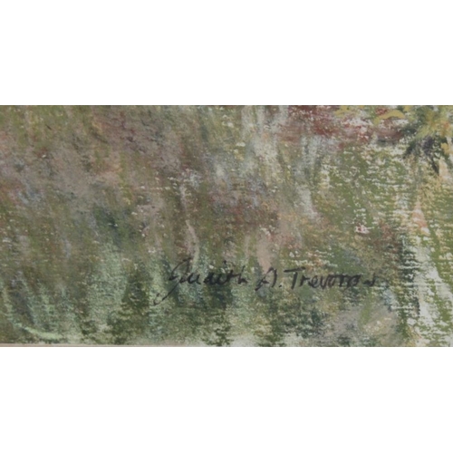 226 - Judith A Trevorrow a pastel study of 'garden door at Ennis' 32 x 19cm signed