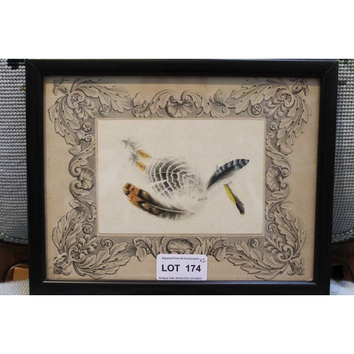 174 - A pair of 19th century watercolours, one depicts shells, the other feathers, both 8cm x 12cm, ebonis... 