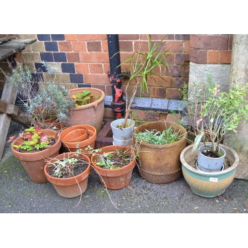 400 - A quantity of plant pots