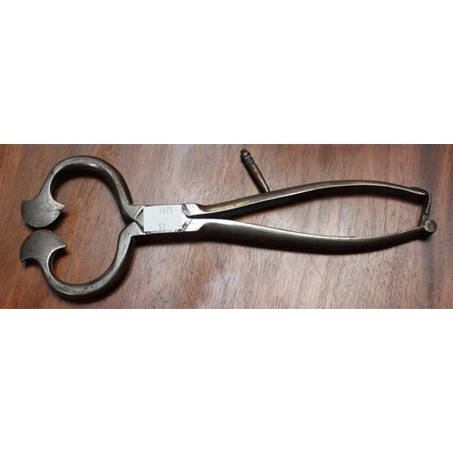 113 - A pair of Georgian steel sugar cone cutting tongs