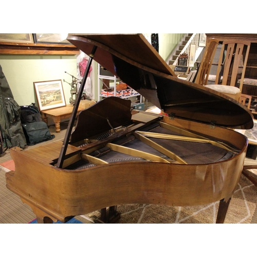 55 - Dagmar - baby grand piano