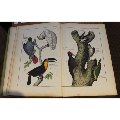 67 - Naturgeschichte der Vogel  Victorian German text volume numerous colour plates around 70 mostly doub... 