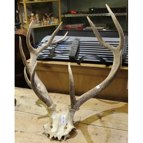 195 - A set of ten point antlers