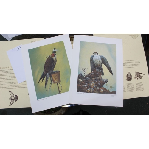 237 - Matthew Hillier, set of four colour prints, Birds of Prey, limited edition, 165/300, signed in penci... 