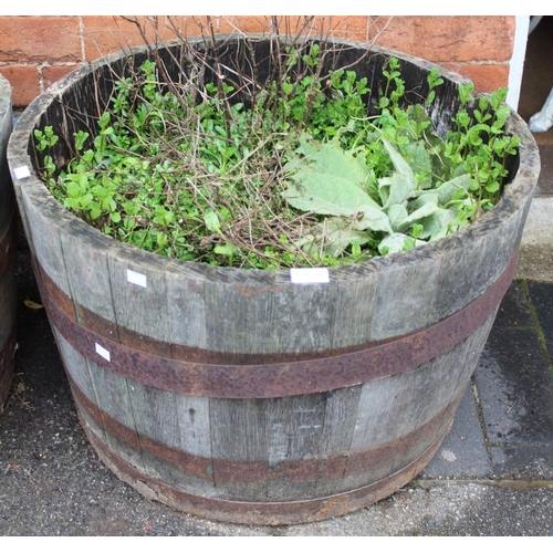 292 - A metal banded half barrel garden planter with contents