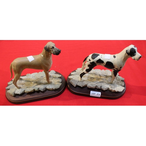 274 - Two Best of Breed ceramic models of Great Danes on wooden plinths by Naturecraft