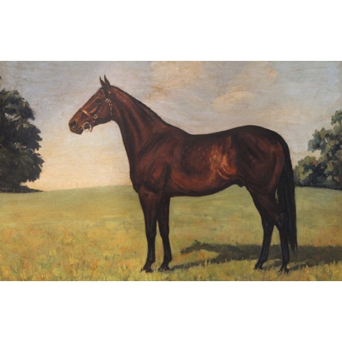 181 - A.G. De****** , A Bay hunter in a Paddock, oil on canvas board, signed indistinctly, 40cm x 50cm