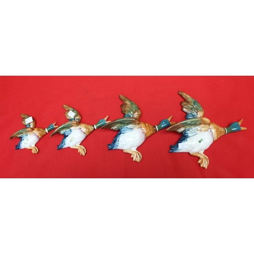 184 - A set of four Beswick pottery flying duck wall ornaments, No.596-1,2,3 and 4, three still bear the l... 