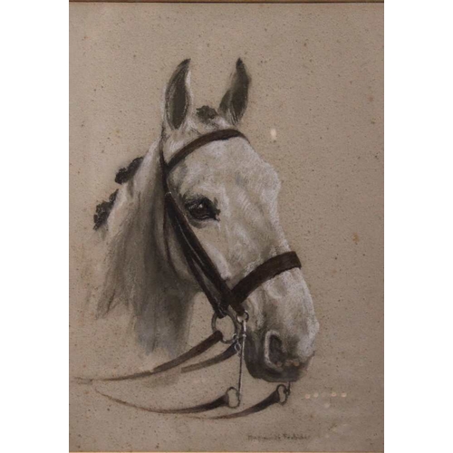 58 - Lucy Marguerite Frobisher (ex. 1916-40) Portrait study of a bridled grey hunter, watercolour heighte... 