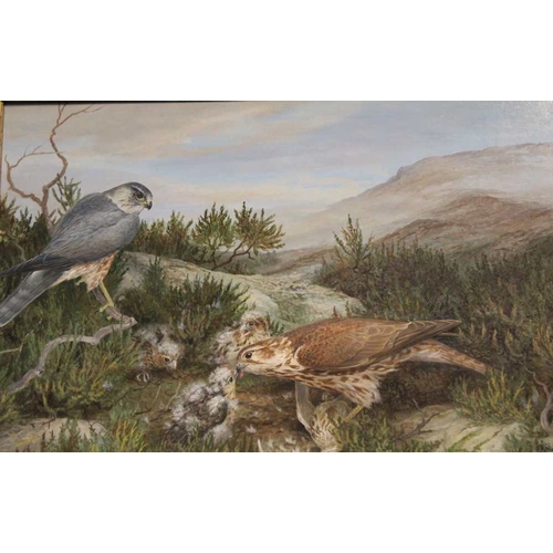 63 - Elizabeth M. Halstead, Moorland landscape with merlin pair feeding chicks on meadow pipit prey, oil ... 