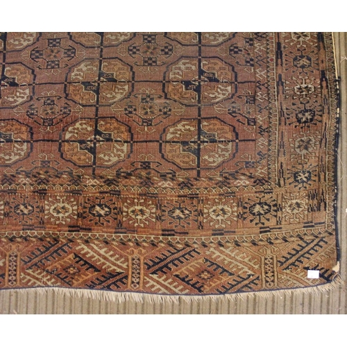 82 - A Tekke Turkoman rug with multi gull field