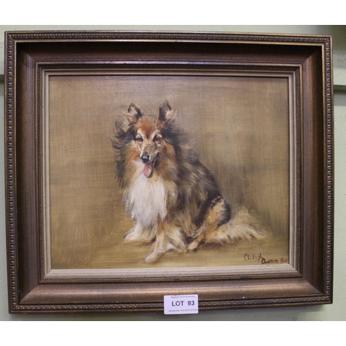 93 - Clodagh Cravos (b.1921) - Study of a Sheltie Colie Dog, oil on board, signed & dated 1984, 25cm x 30... 