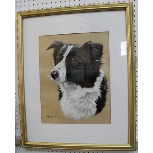 312 - A print of a Collie dog by Pollyanna Pickering, glazed & framed