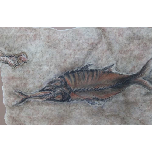 369 - An illustration of an Ancient Fish by Rachel Whitfield