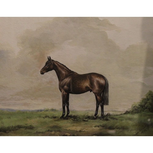 78 - Andrew Alexander, Study of a Bay gelding in a landscape, gouache, signed & dated 1970, 28cm x 35.5cm