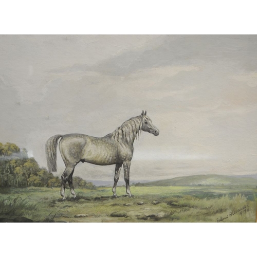 284 - Andrew Alexander, Study of a Grey Gelding in a landscape, gouache, signed & dated 1970, 28cm x 35.5c... 