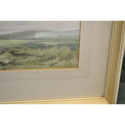 284 - Andrew Alexander, Study of a Grey Gelding in a landscape, gouache, signed & dated 1970, 28cm x 35.5c... 