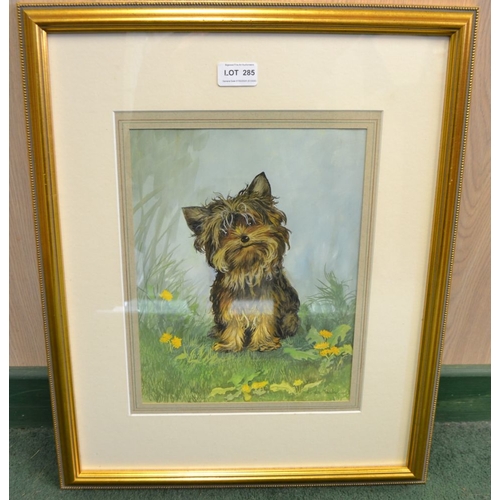 285 - Elizabeth M. Halstead, study of a Yorkshire Terrier, watercolour, signed, 30cm x 22.5cm