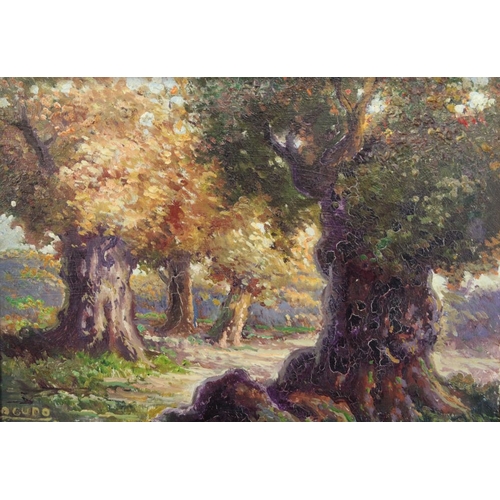Lot 54        