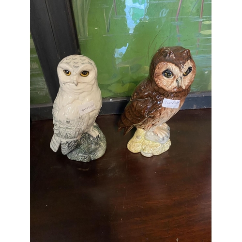 637 - 2 royal Doulton owls,1 contains whiskey