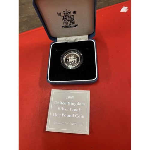 672 - Silver proof £1 coin