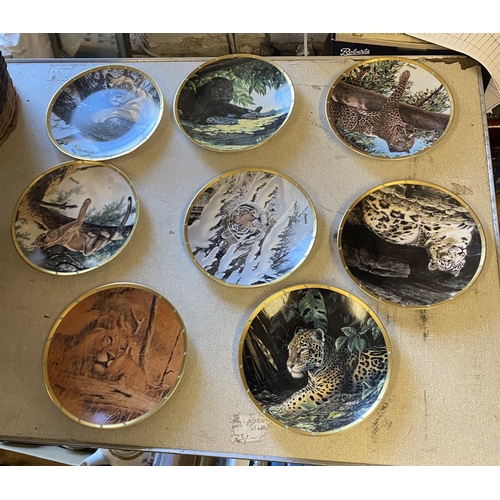 48 - 8 big cat plates