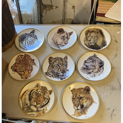 49 - 8 big cat plates