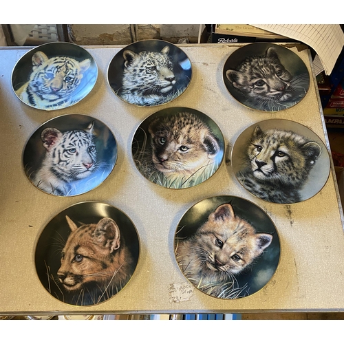 50 - 8 big cat plates