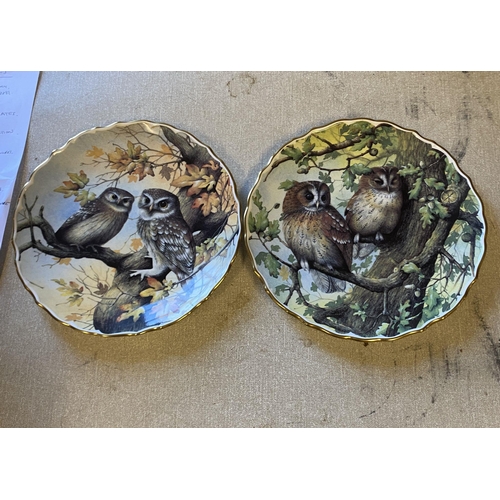 52 - 2 owl plates