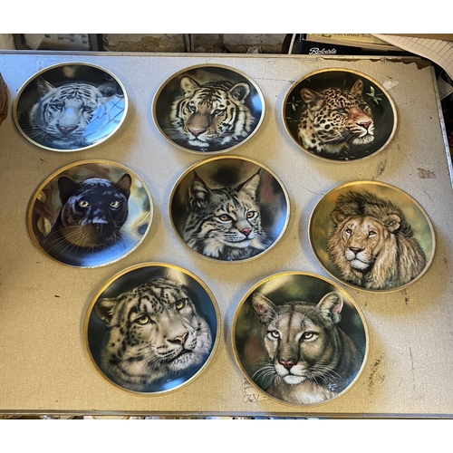 54 - 8 big cat plates