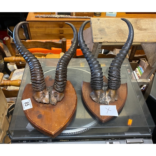 85 - 2 pairs mounted antelope horns