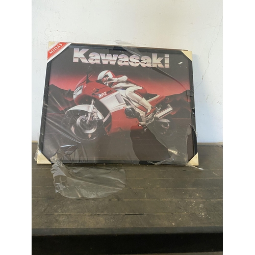 516 - Kawasaki print