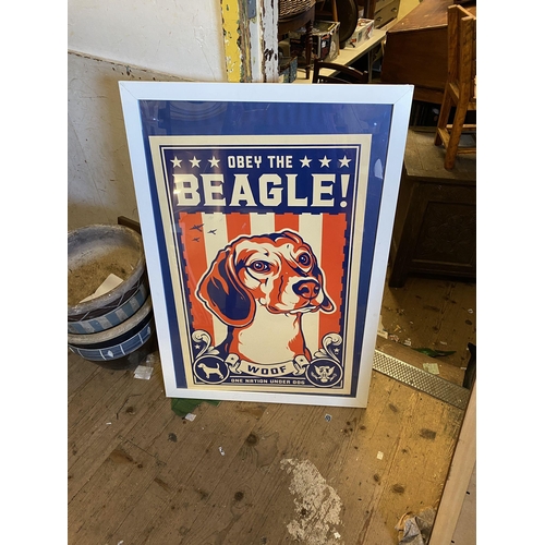 689 - Beagle poster