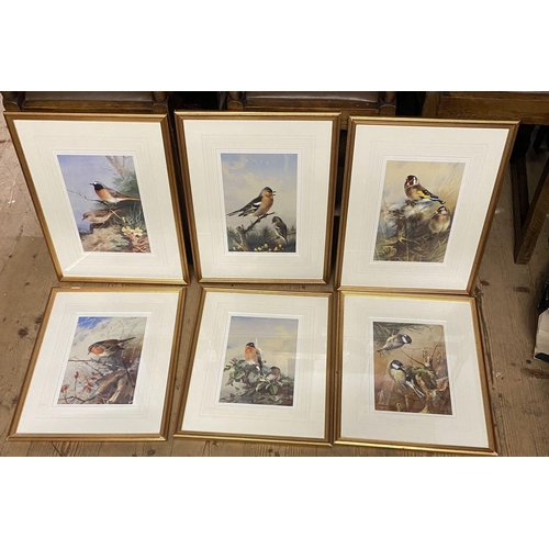 308 - 6 Thorburn coloured bird prints