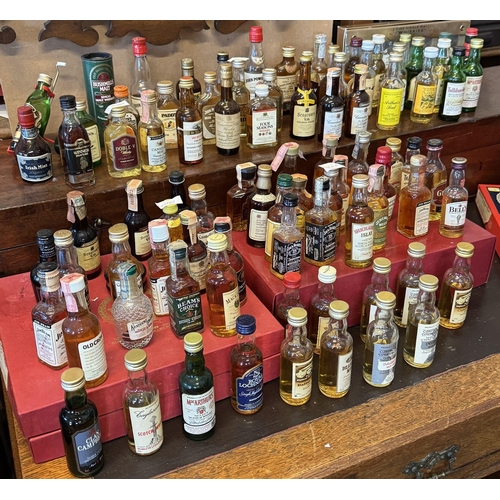 176 - Collection whiskey miniatures