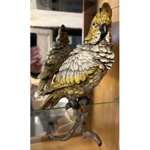 631 - Bergman cold painted bronze parakeet